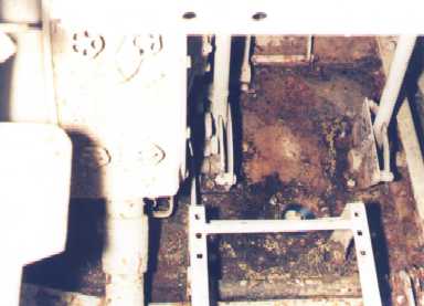 Click here to read more about this Photo