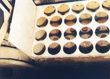 Click here to read more about this Photo