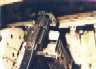 Click here to read more about this Photo