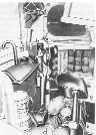 Click here to read more about this Illustration